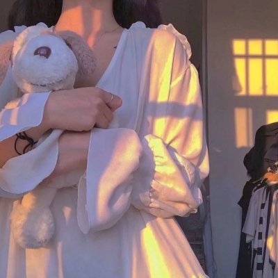 神犬小七第二季